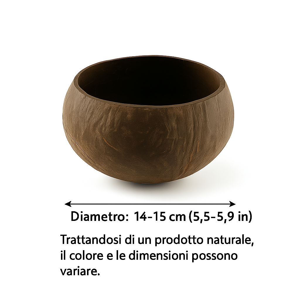 Cuenco de coco natural